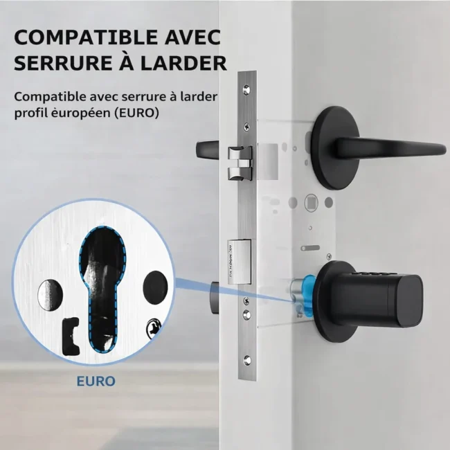 Serrure connectée compatible avec serrure à larder profil européen EURO
